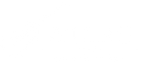 Translation missing: es.Atlas Tonewoods &amp; Lutherie accessibility.home